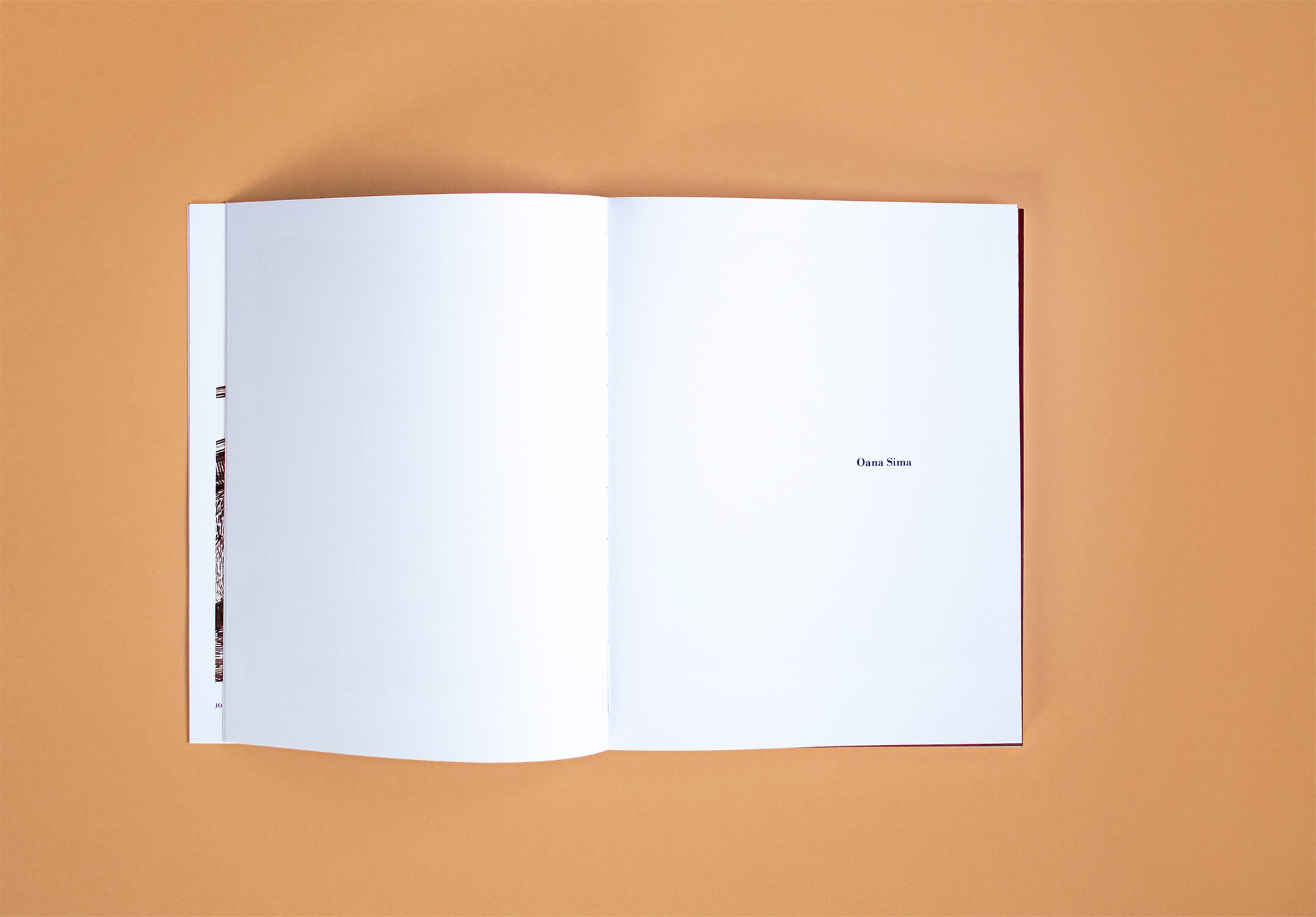 Alma-Mater–book-design-(19)