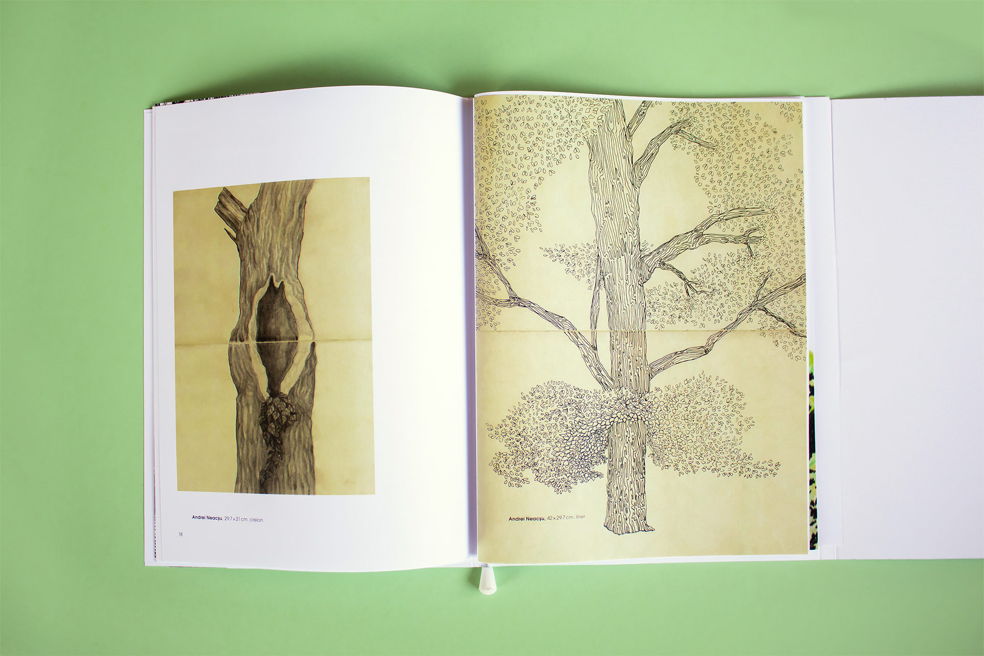 cartea-copacilor–design-(11)