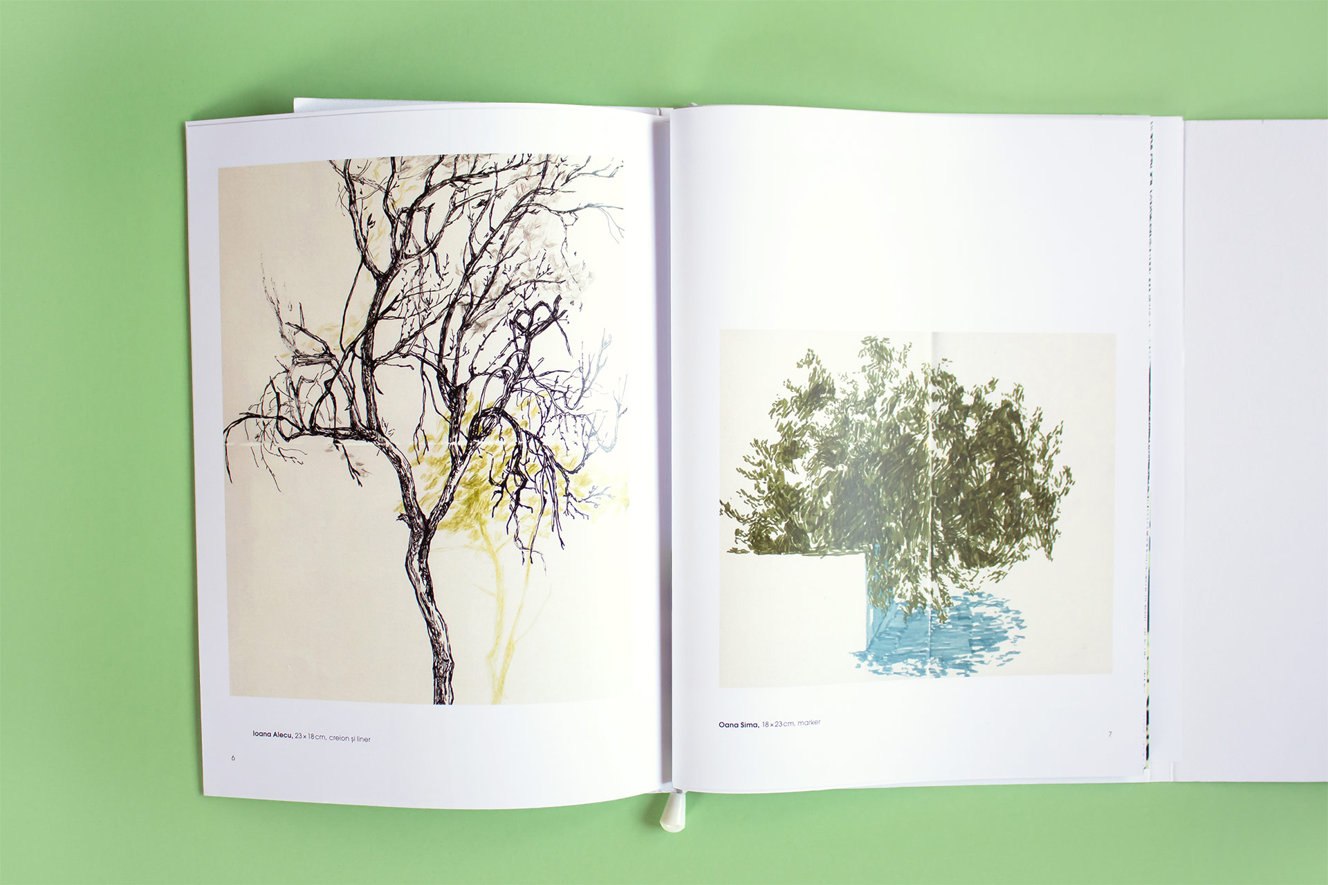 cartea-copacilor–design-(14)