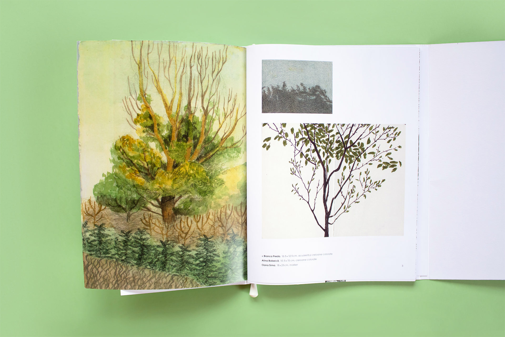 cartea-copacilor–design-(15)