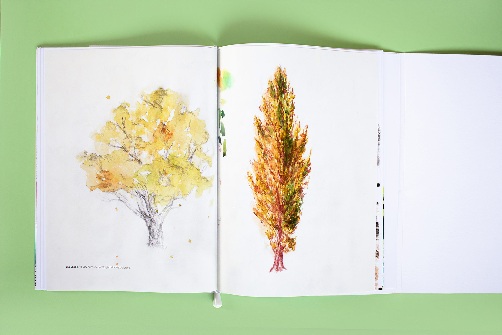 cartea-copacilor–design-(3)